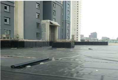 新聞 廈門防裂貼產(chǎn)品詳情 實力